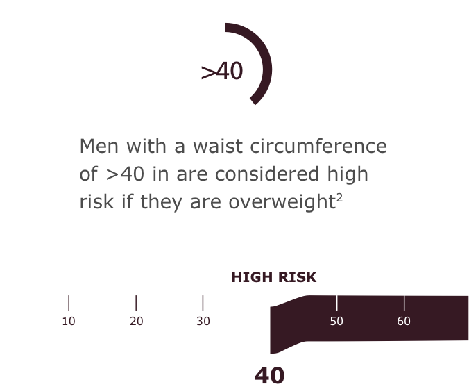 Male Info Men with a waist circumference of >40 inches are considered high risk if they are overweight2